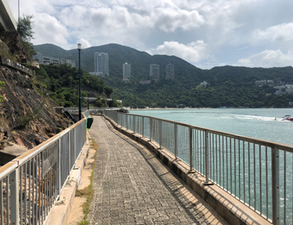 Mills & Chung Path