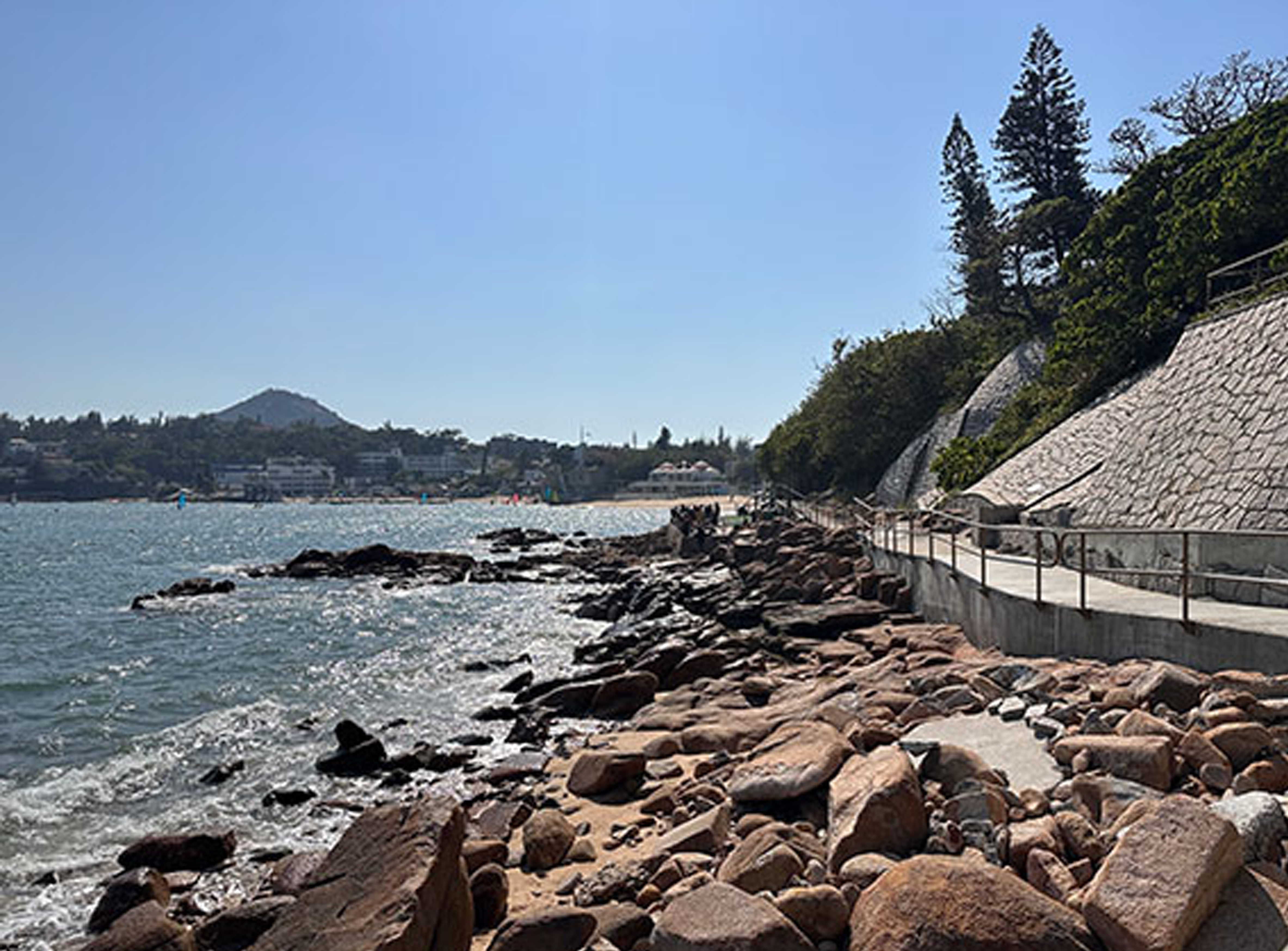 躍動港島南 相關研究